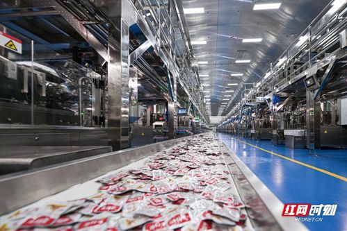 科技赋能高质量发展 劲仔食品数字化转型实践